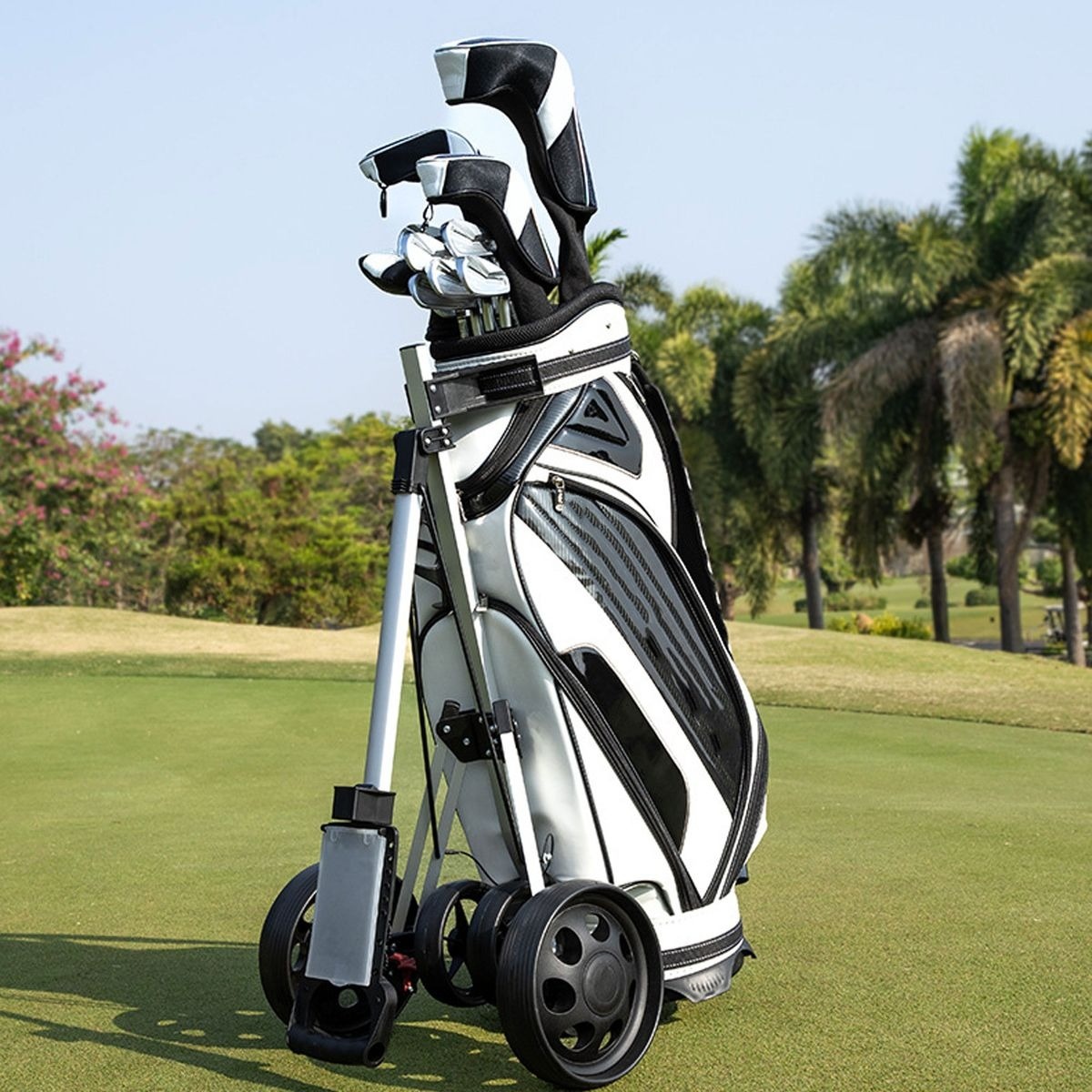 Aluminium 4 Wheel Golf Cart variant image 3