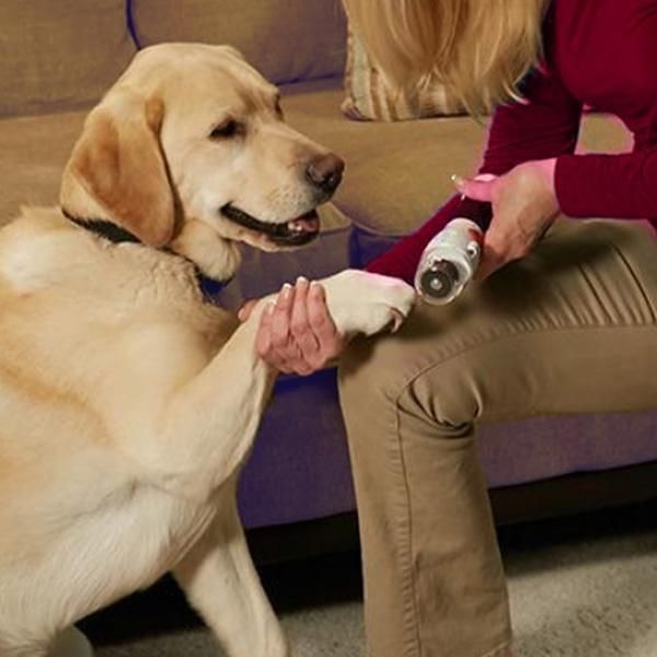 Paw Perfect Dog & Cat  Nail Clipper variant image 4