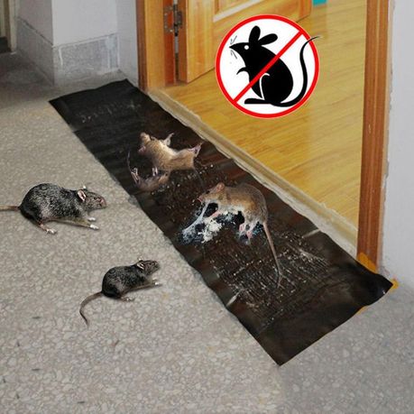 Mouse Glue Rat Trap - 1.2M variant image 3