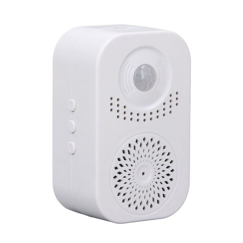 Voice Inductive Doorbell Voice Reminder