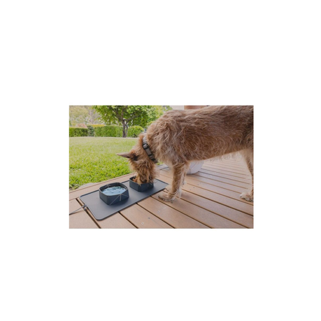 Collapsible Pet Food and Water Bowl variant image 2