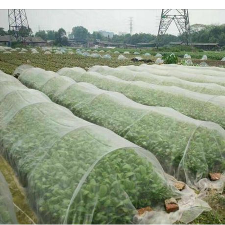 Garden Insect Repellent Net -1,5m variant image 2