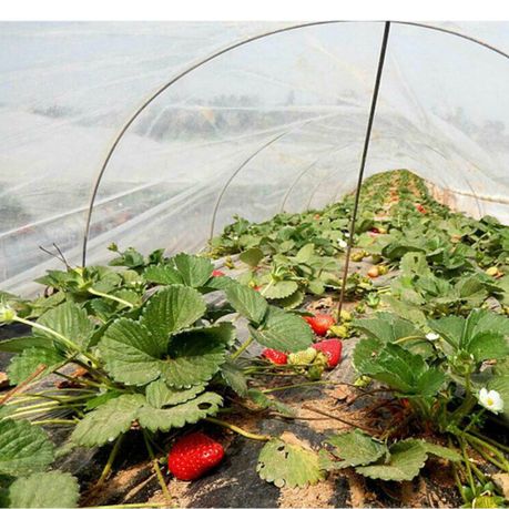 Garden Insect Repellent Net -1,5m variant image 3
