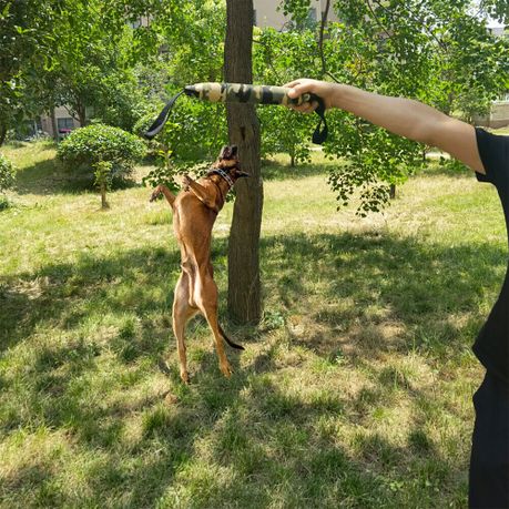 Pet Dog Interactive 2 Handle Camouflage Bite Dog Training Tug Toy (33cm) variant image 4