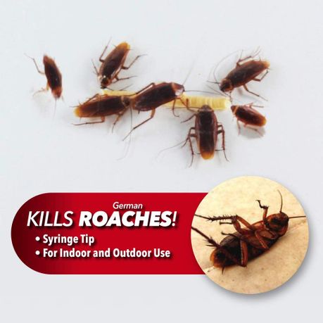 Roach Doctor Cockroach Killing Gel variant image 5