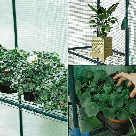 Tiered Walk-in Greenhouse 8 Shelve 143x143x195cm, Strong and stable variant image 2