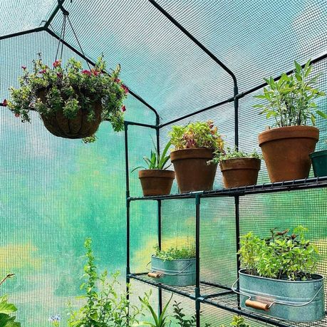 Tiered Walk-in Greenhouse 8 Shelve 143x143x195cm, Strong and stable variant image 6