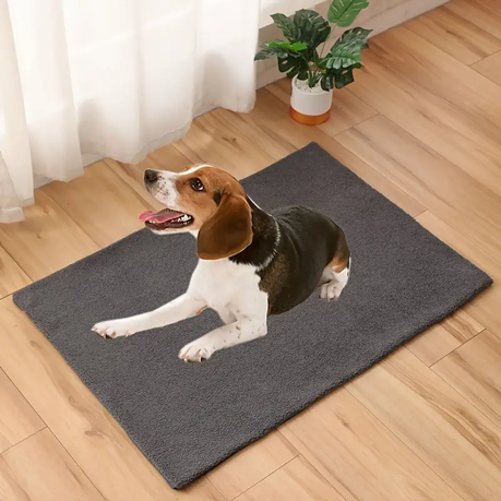 Transparent Cat Bed and Self-Warming Pet Mat variant image 3
